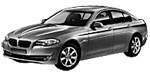 BMW F10 P02CC Fault Code
